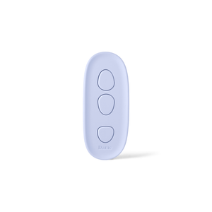 Lay Panty Vibrator with Remote Control